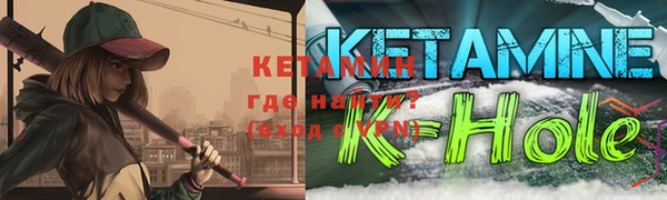 прущие грибы Заводоуковск