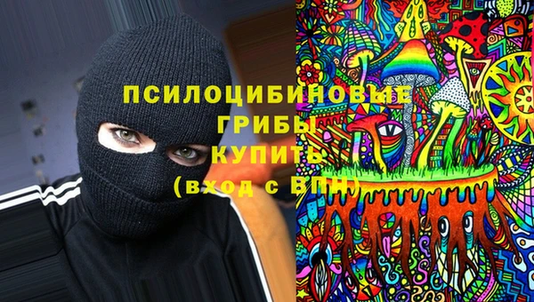 бошки Зеленодольск