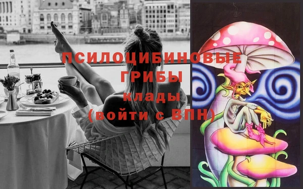 прущие грибы Заводоуковск