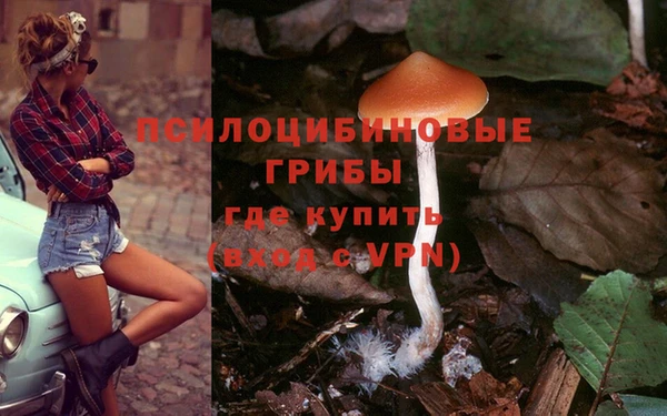 стафф Заволжье