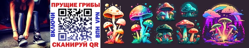 купить   Евпатория  Галлюциногенные грибы Magic Shrooms 