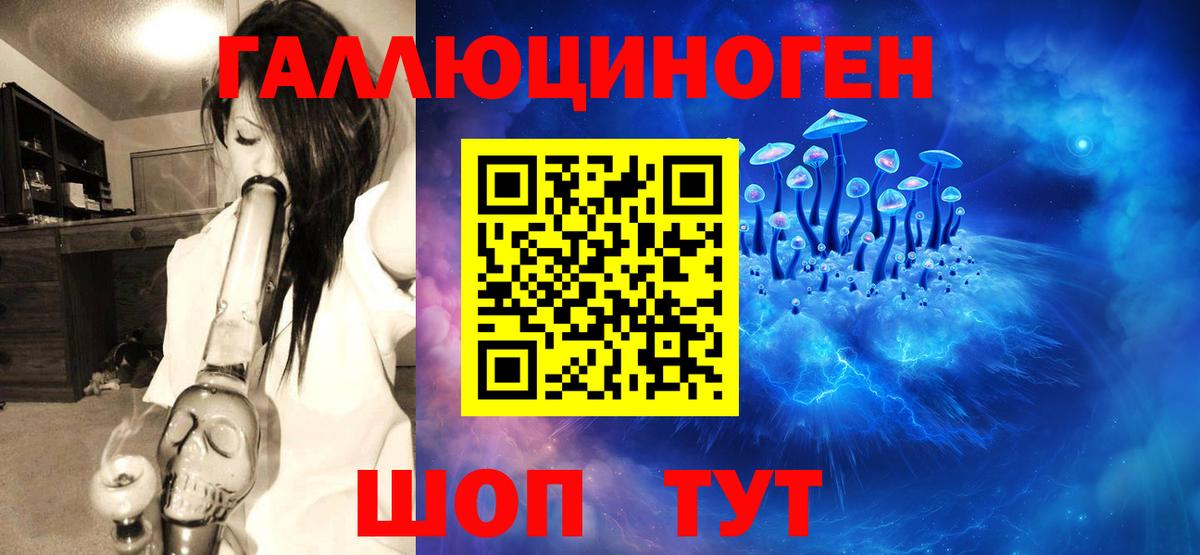 Евпатория  Псилоцибиновые грибы Psilocybine cubensis  Вход с VPN 